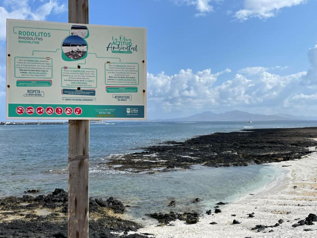 Eco House Golfinhos Lejlighed Corralejo Eksteriør billede