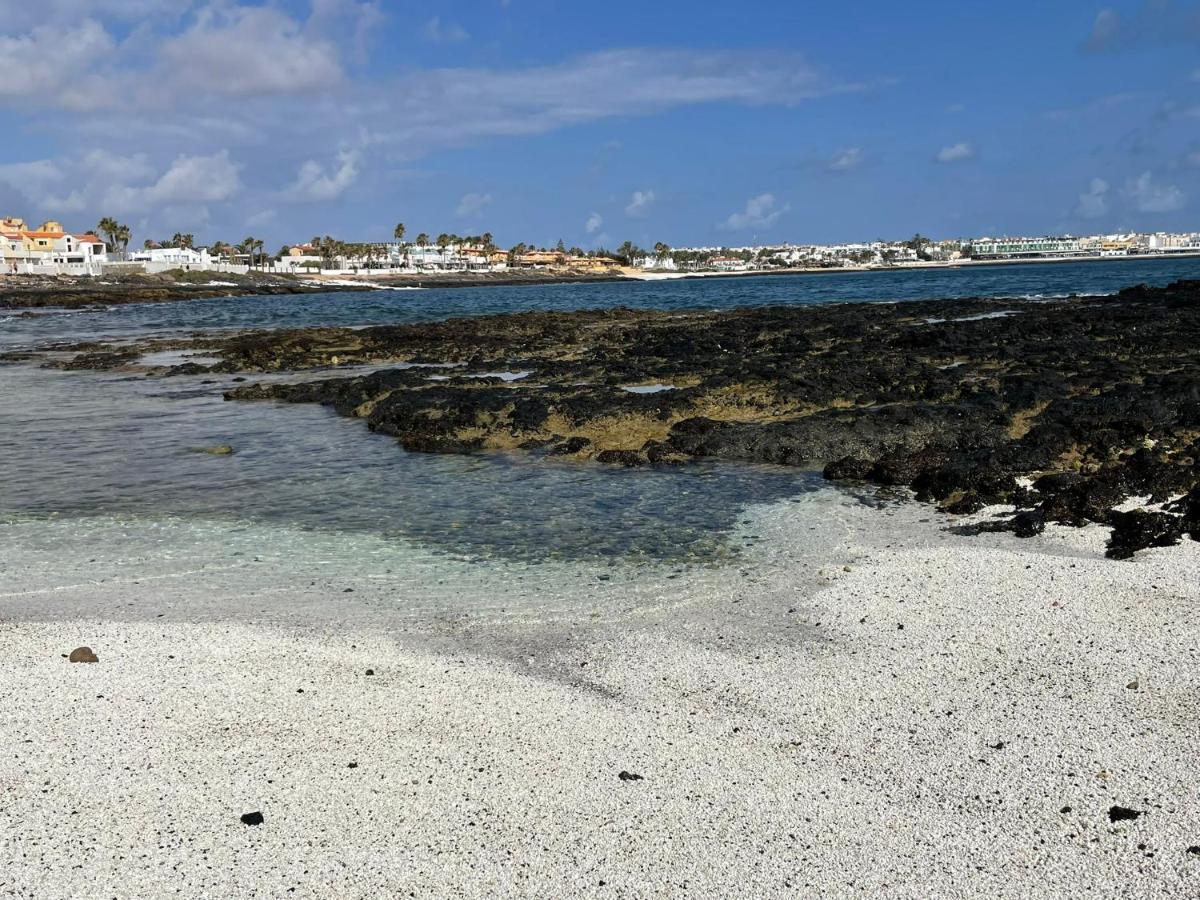 Eco House Golfinhos Lejlighed Corralejo Eksteriør billede